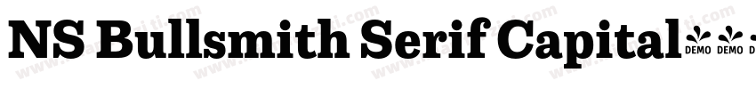 NS Bullsmith Serif Capital字体转换